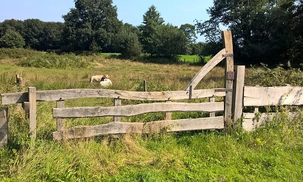 Dagje uit in Twente: 15 activiteiten voor elk seizoen